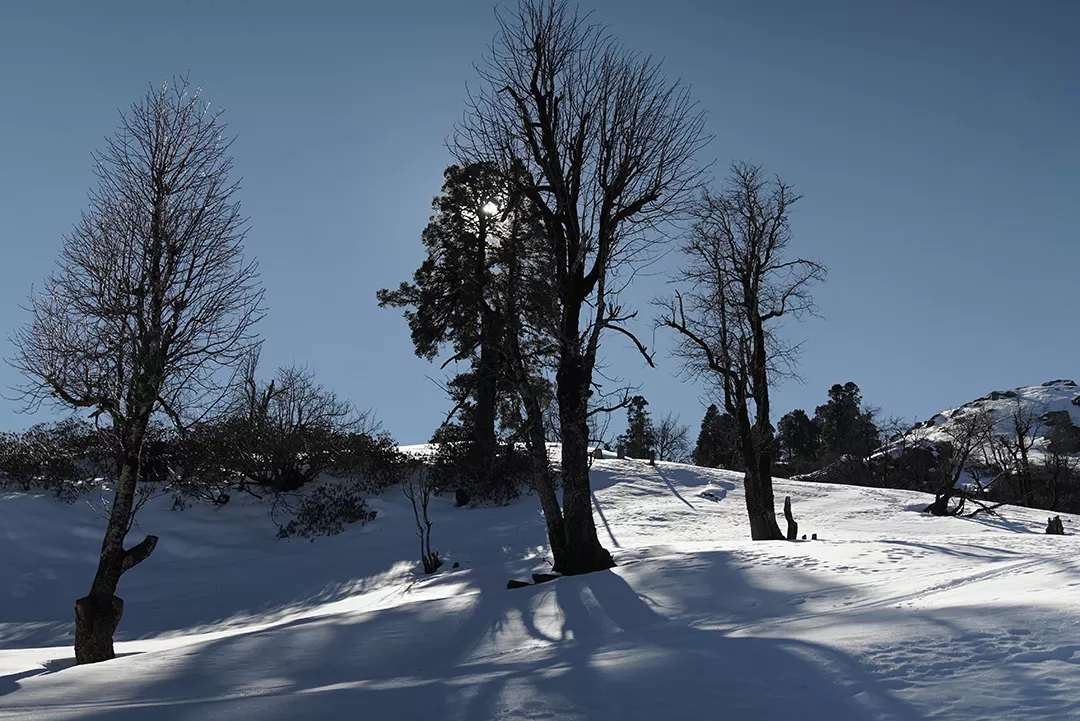 Photo of Kedarkantha By Chetan Kumar Arora