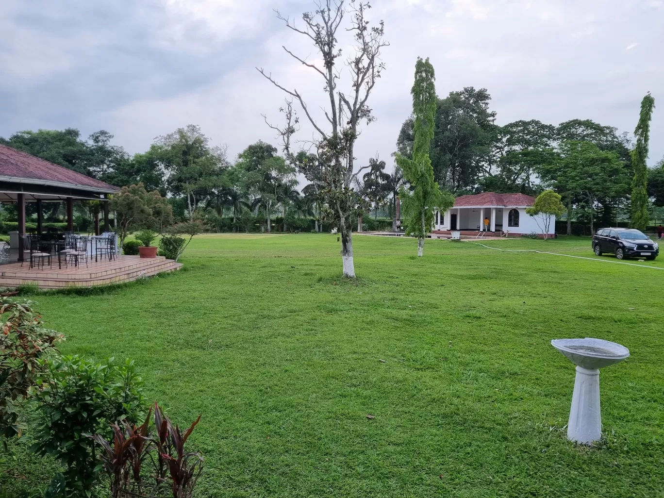 Photo of Banyan Grove By Parangam Goswami