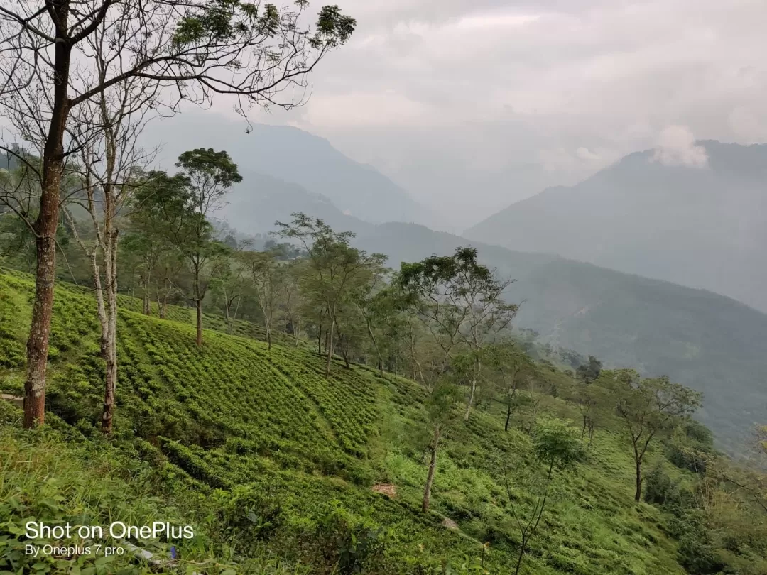 Photo of Pelling By Trishita Deb Adhikary