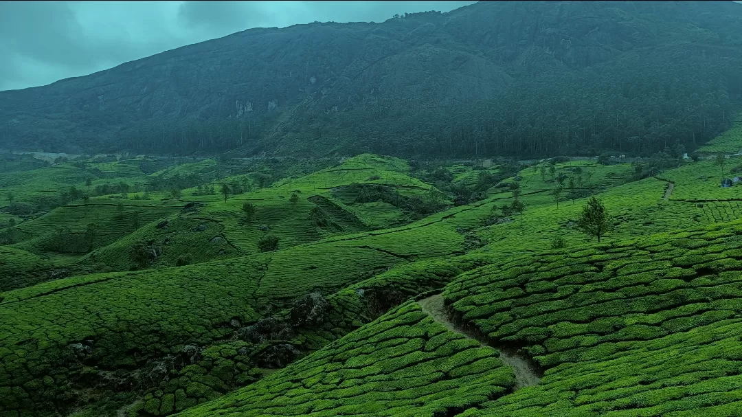 Photo of Munnar By Sriparna Karmakar