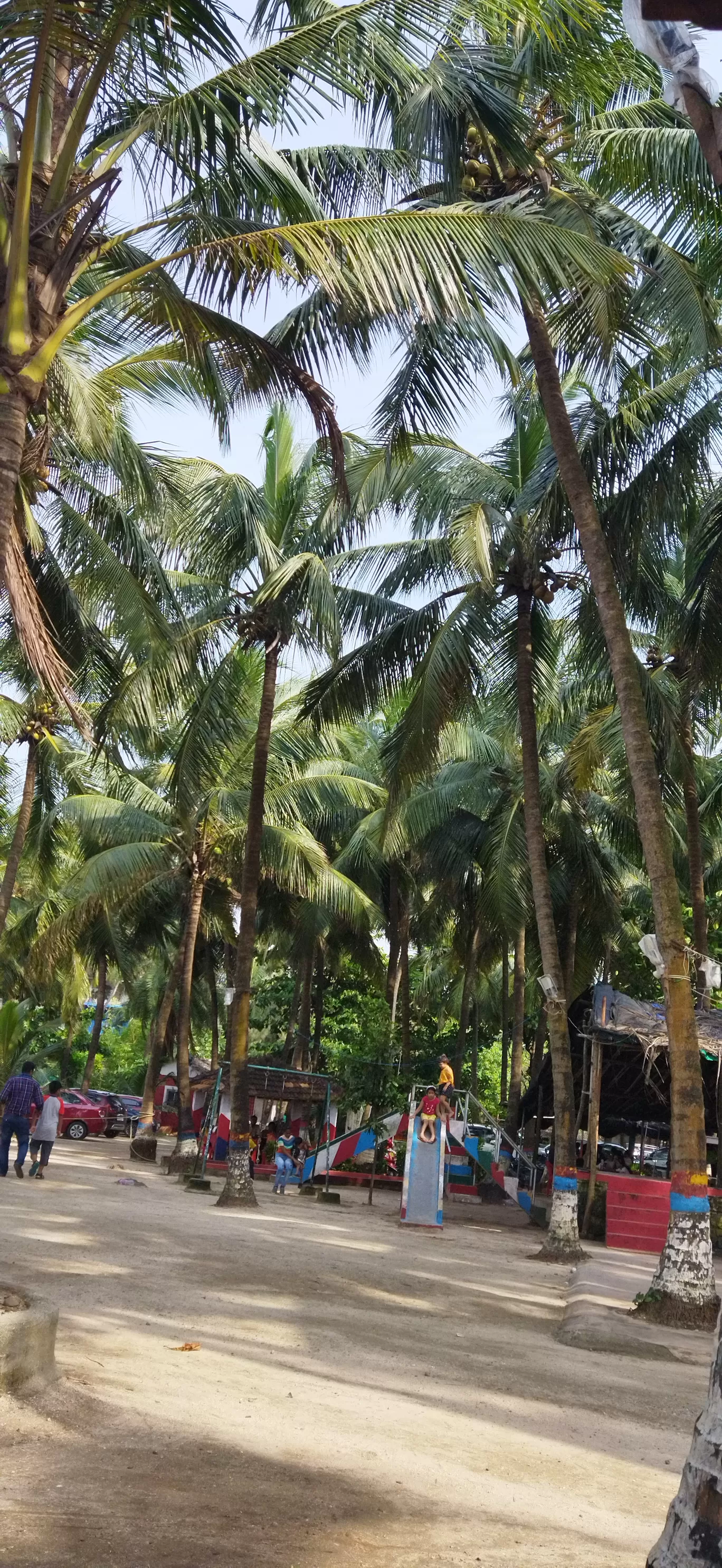 Photo of Picxy Sea Resort By Cma Leshu Shreemant Samanta