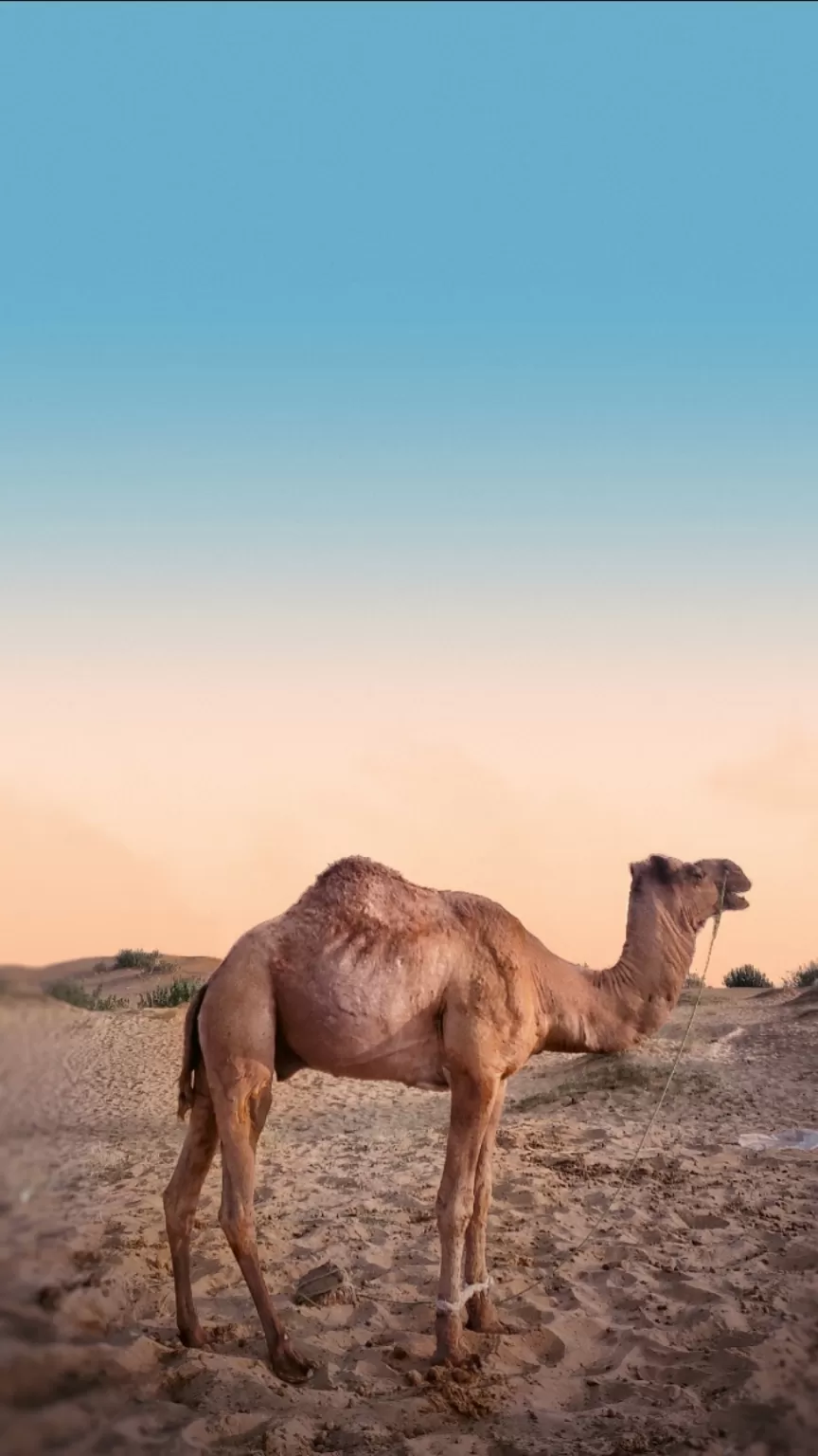 Photo of Jaisalmer By Kshitiz Bathwal
