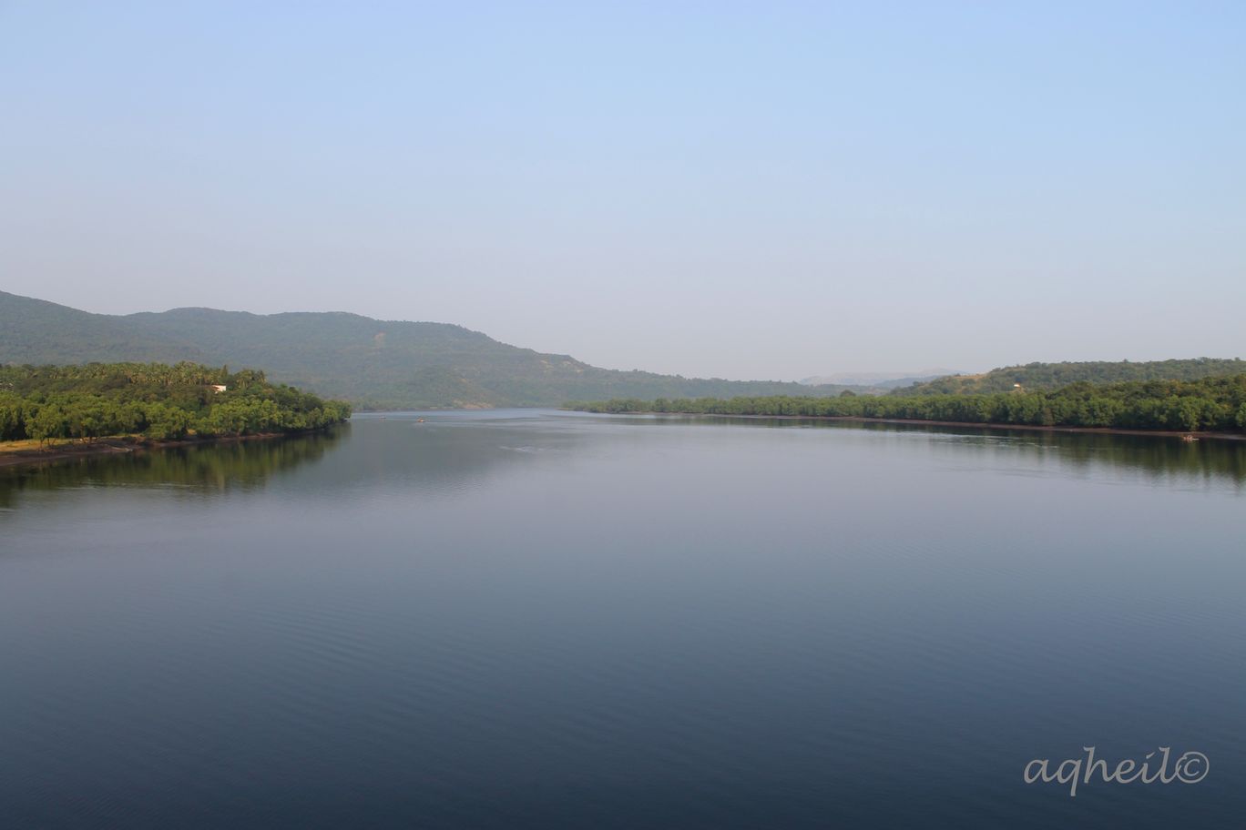 Photo of Forest Drive to Konkan By Akhil Gaur