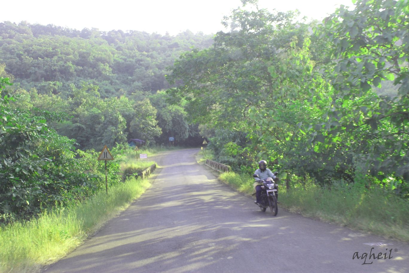 Photo of Forest Drive to Konkan By Akhil Gaur