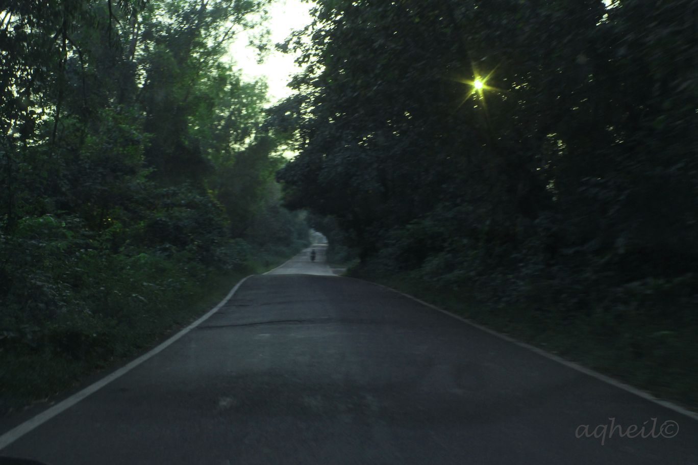 Photo of Forest Drive to Konkan By Akhil Gaur