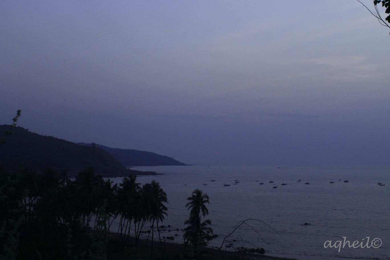 Photo of Forest Drive to Konkan By Akhil Gaur