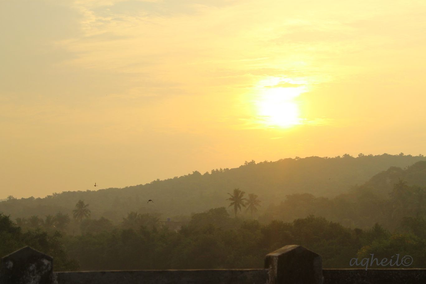 Photo of Forest Drive to Konkan By Akhil Gaur