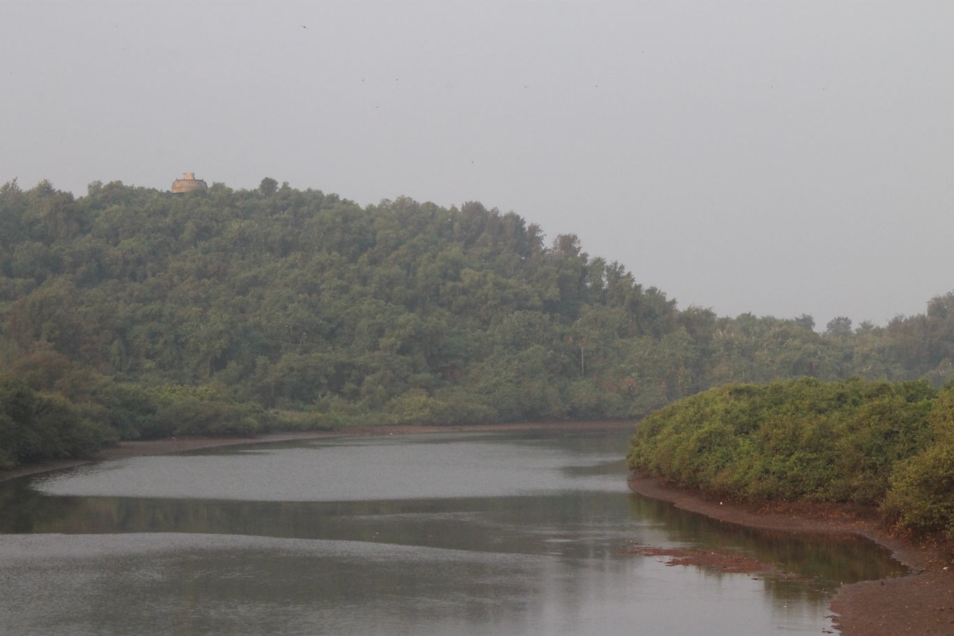 Photo of Forest Drive to Konkan By Akhil Gaur