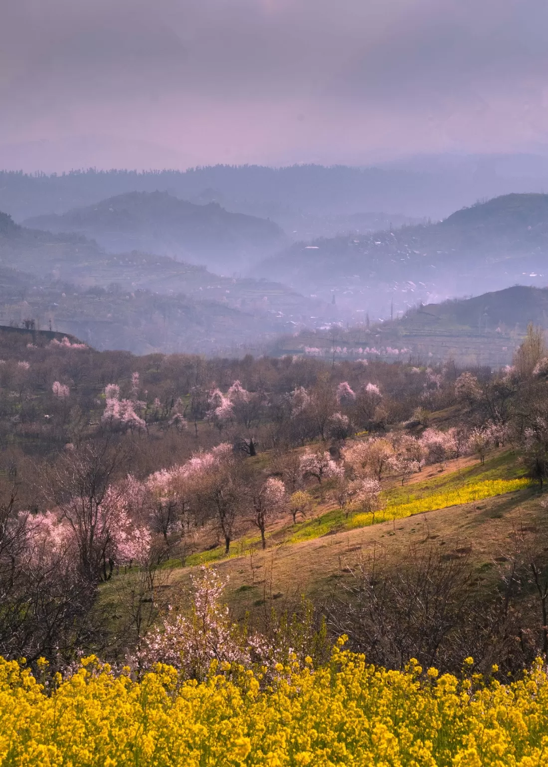 Photo of Budgam By Shahid Shah