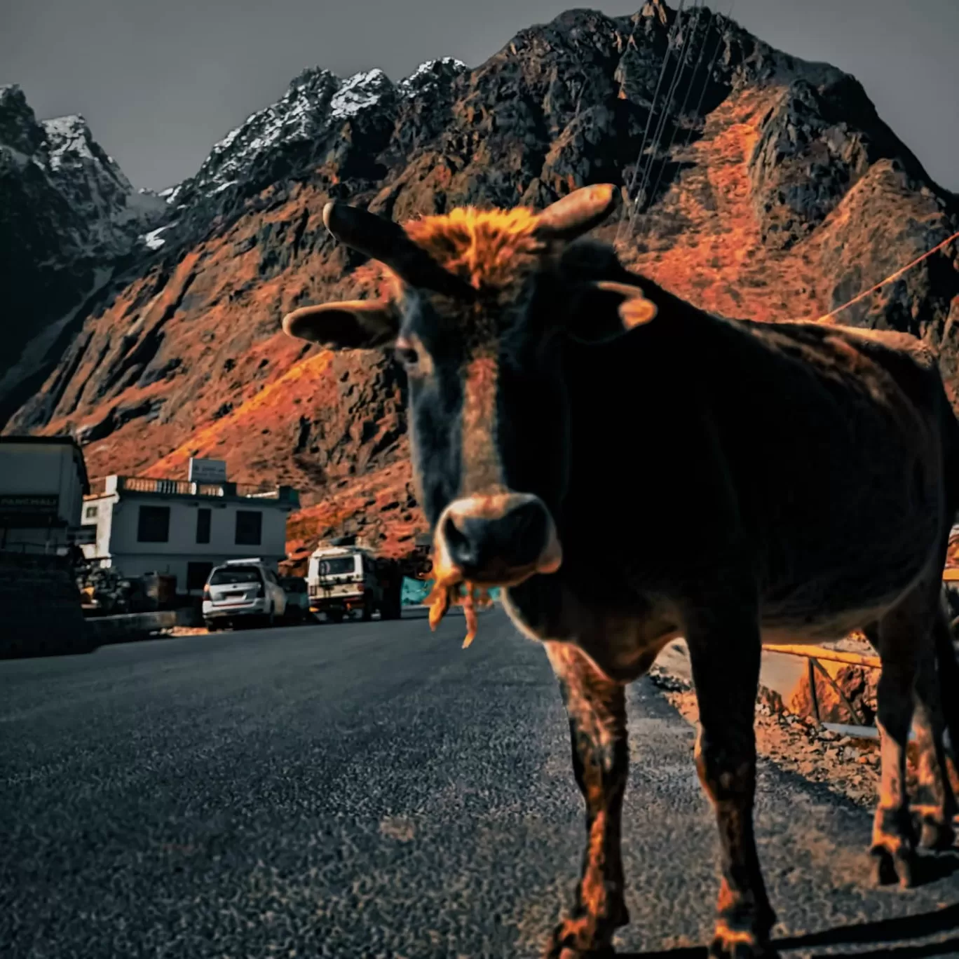 Photo of Uttarakhand By Anshuman Rathore