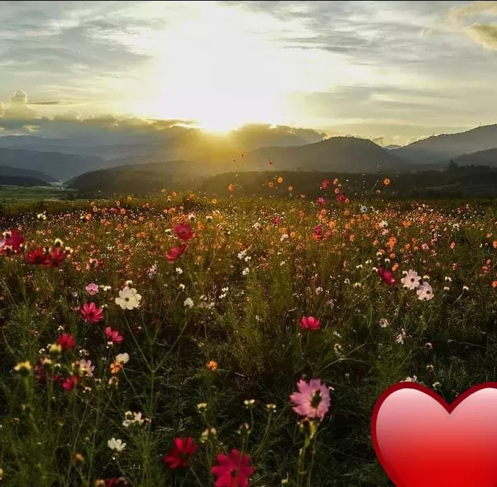 Photo of Manipur By Malem Luwang
