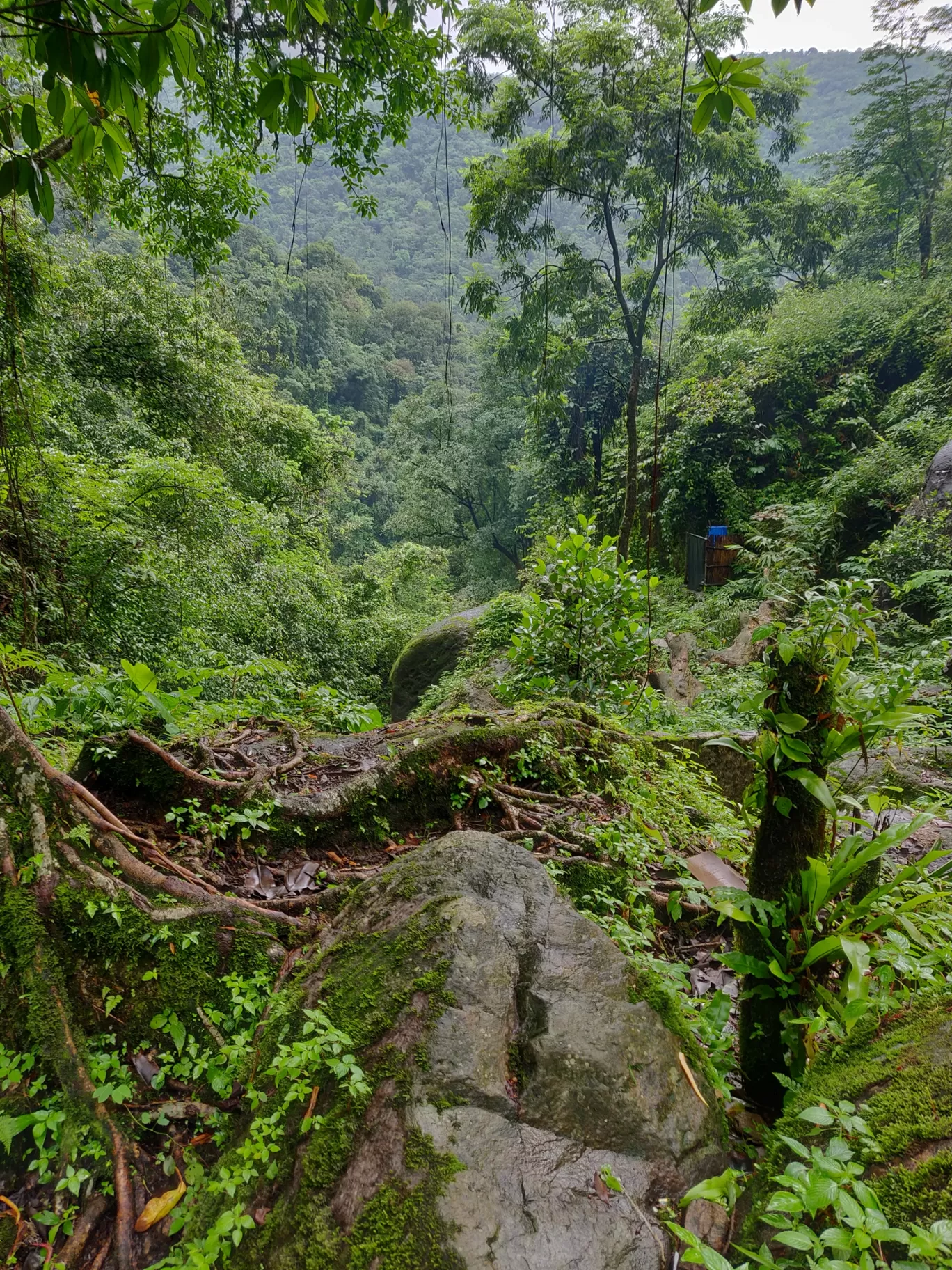 Photo of Meghalaya By ritudhankar30