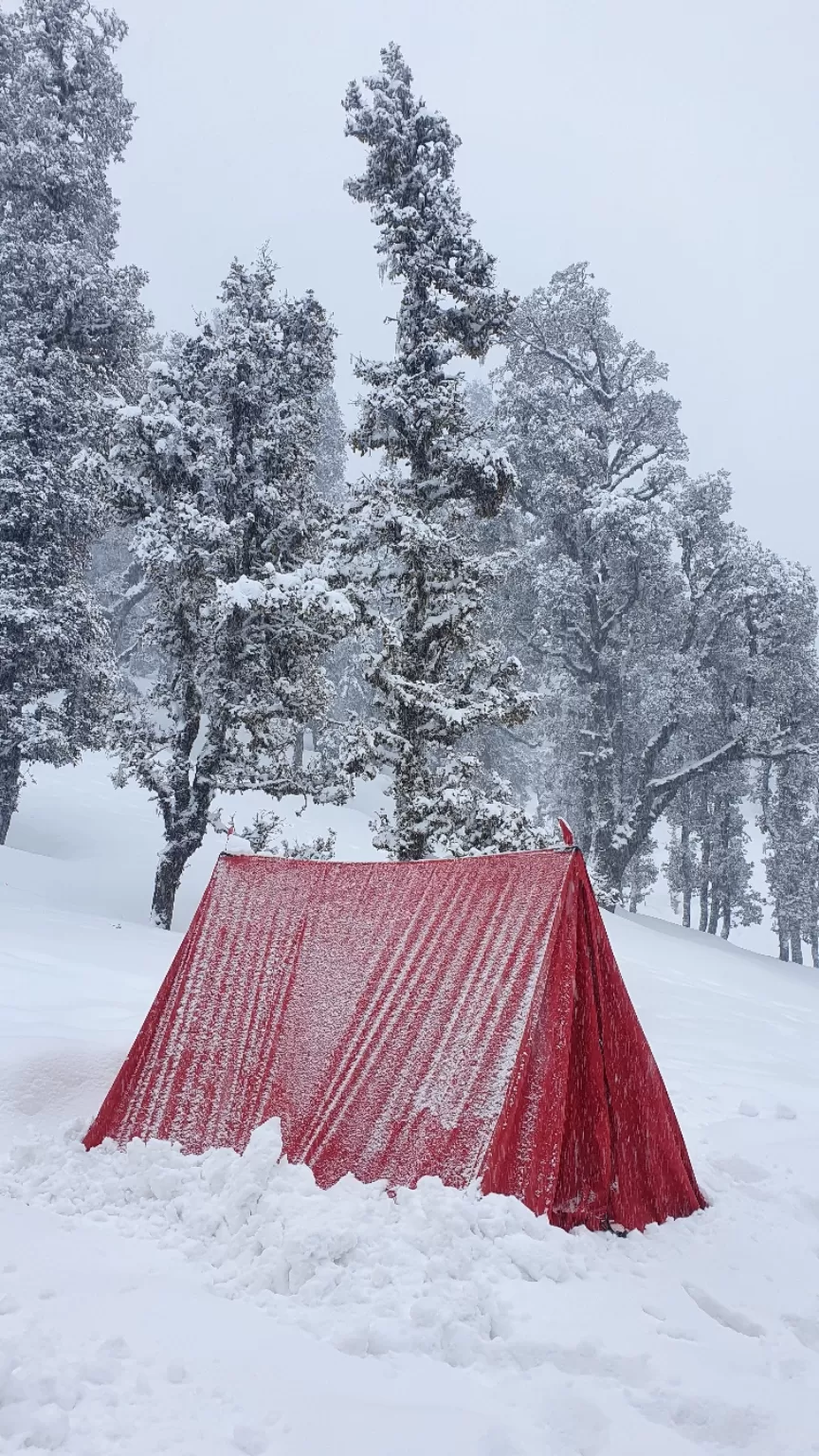 Photo of Kedarkantha Trek By Budget Mountains