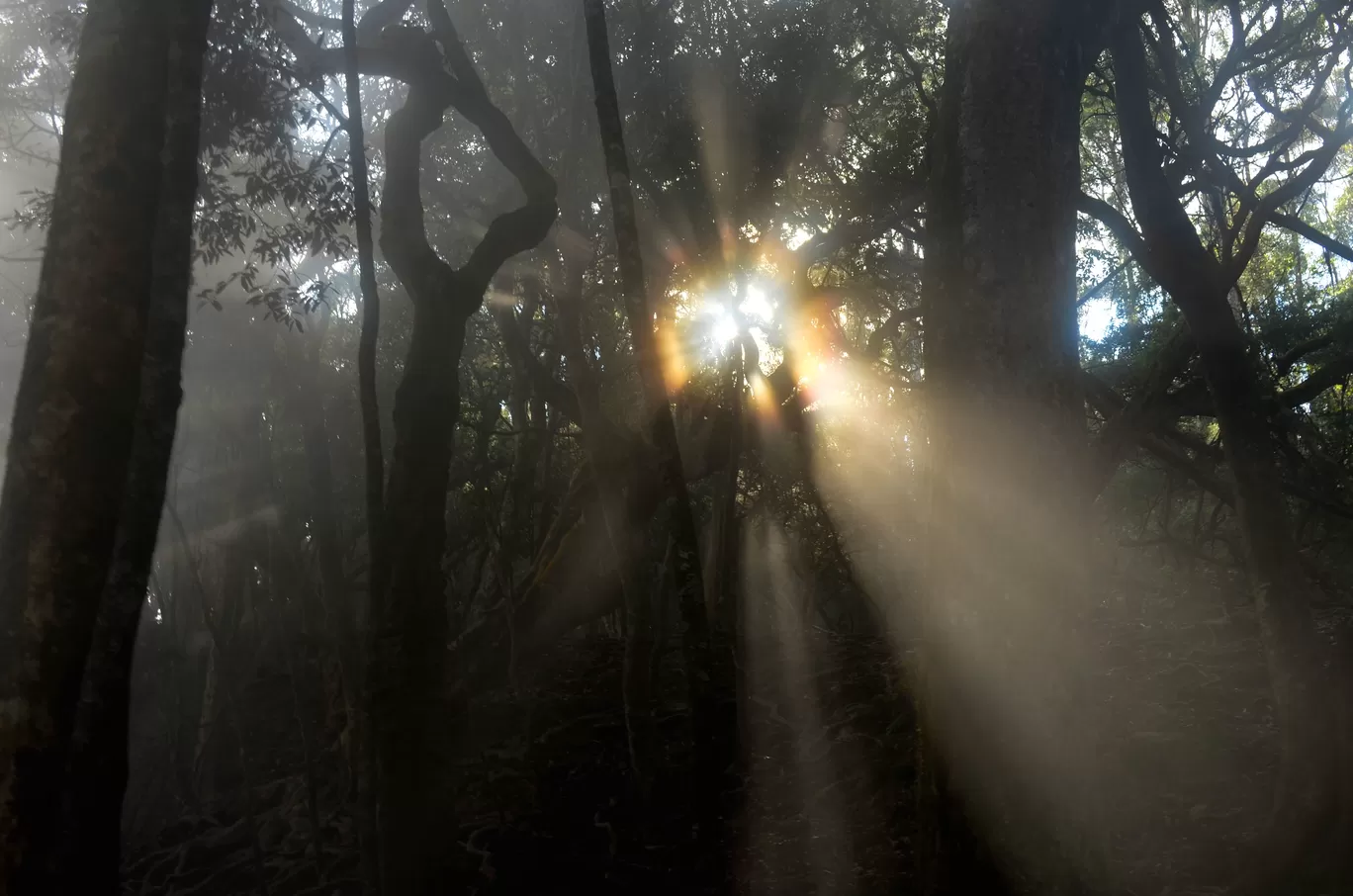 Photo of Kodaikanal By Bibek Chaudhuri