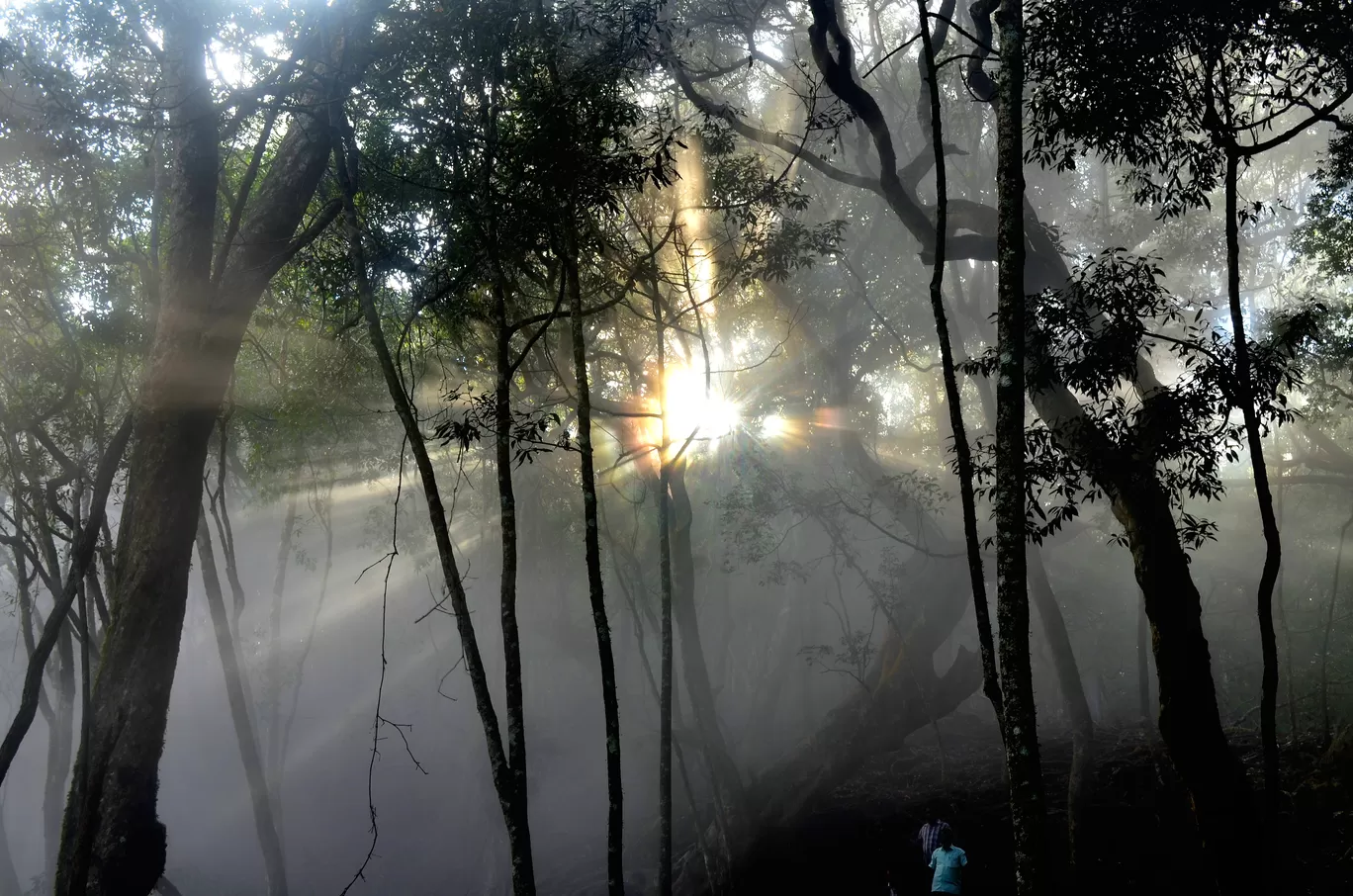 Photo of Kodaikanal By Bibek Chaudhuri