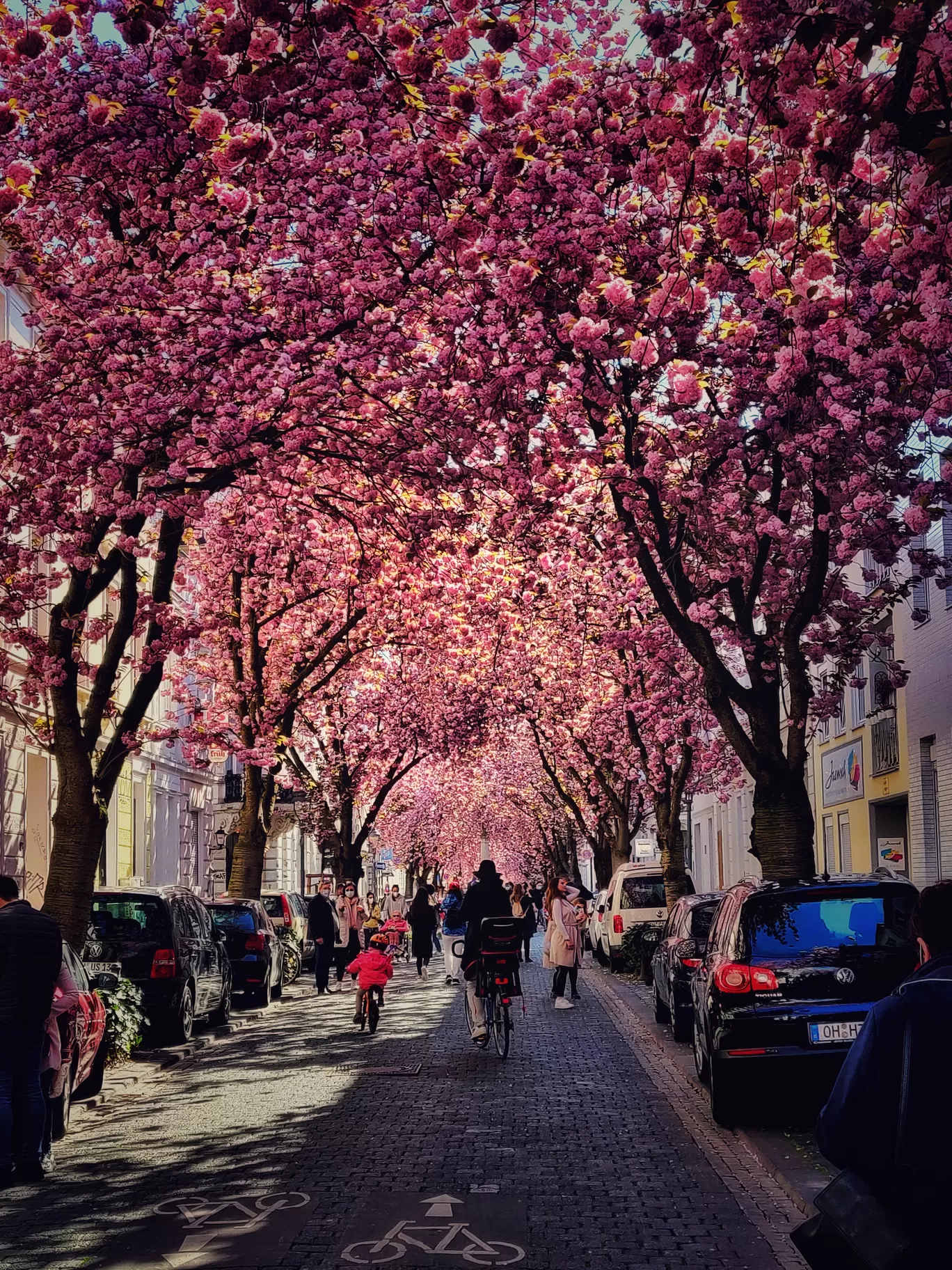 Photo of Bonn By Eby George