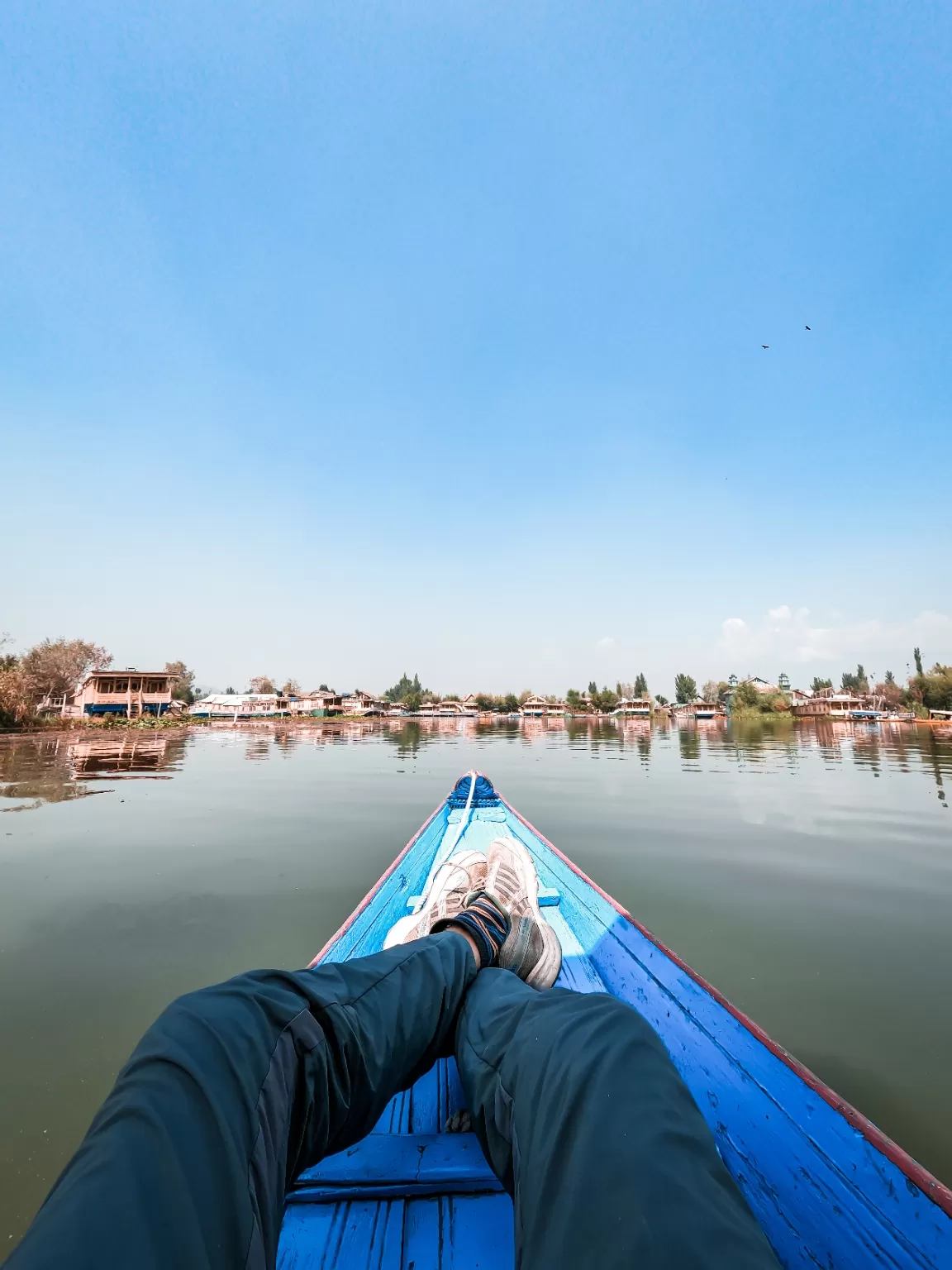 Photo of Srinagar By Durgesh Chendwankar