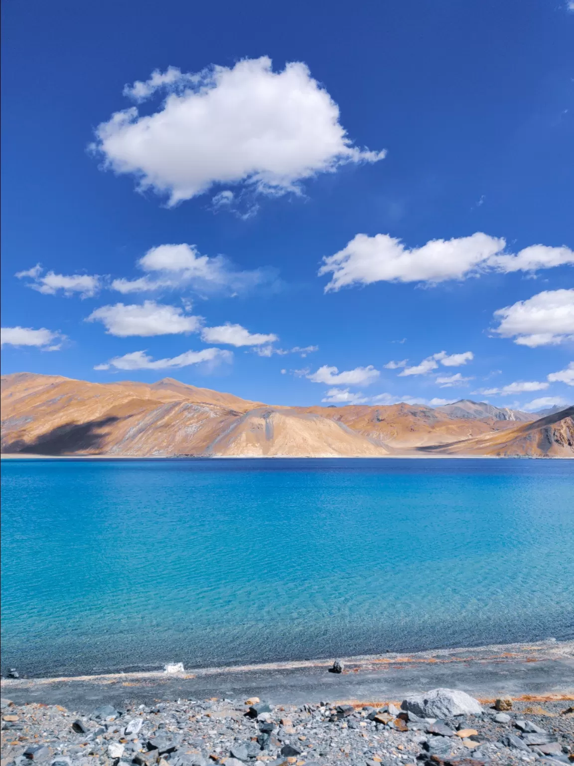 Photo of Pangong Lake By Durgesh Chendwankar