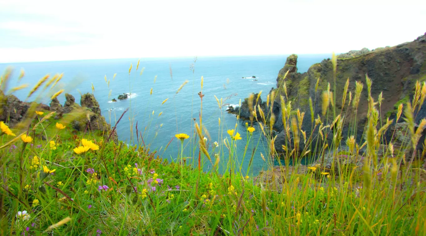 Photo of Snaefellsnes Peninsula By Vaibhav Gulati
