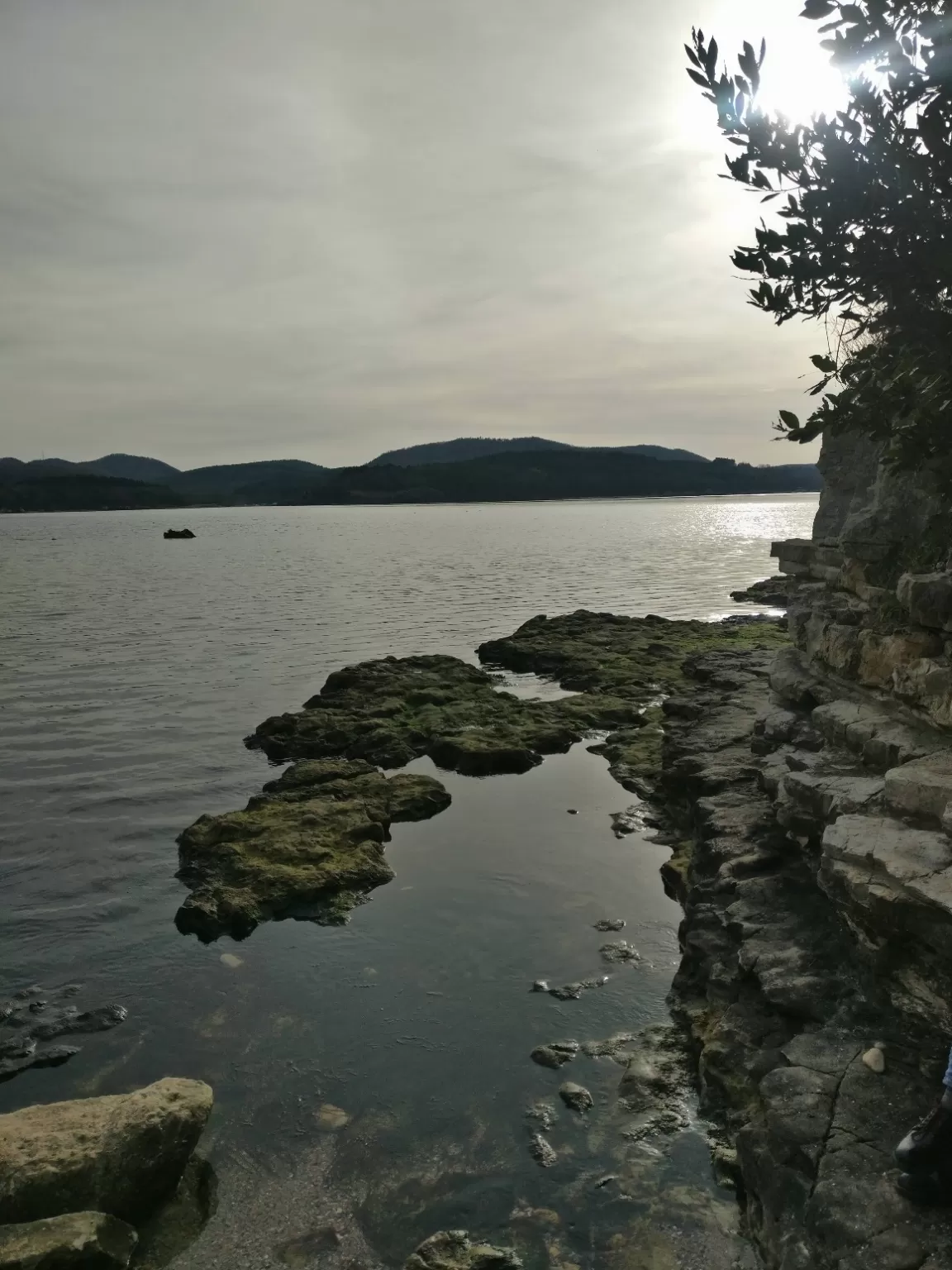Photo of Kocaeli By Purgatory