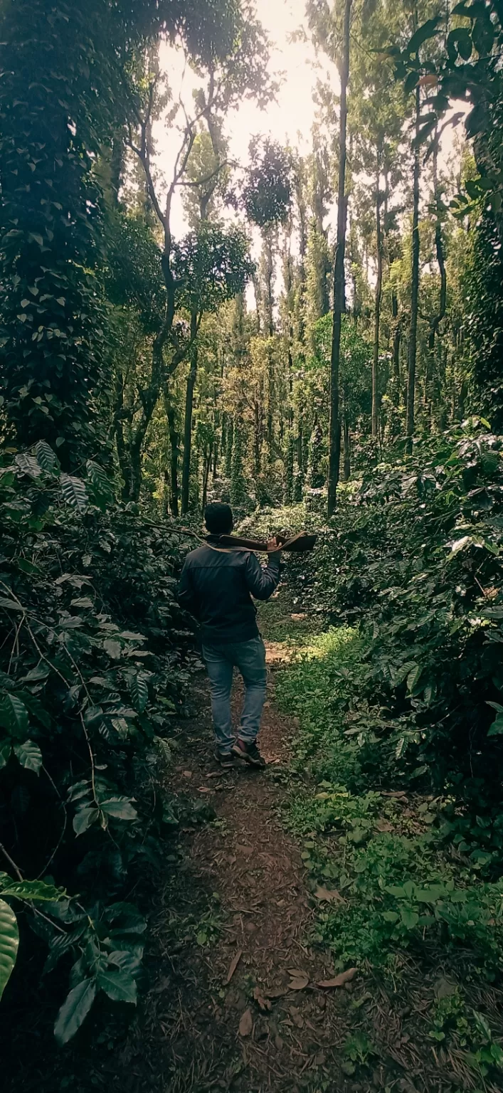 Photo of Chikkamagaluru By Pratham Jőìş