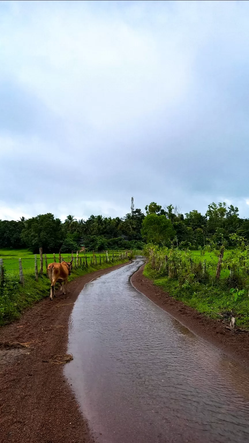 Photo of Chikkamagaluru By Pratham Jőìş