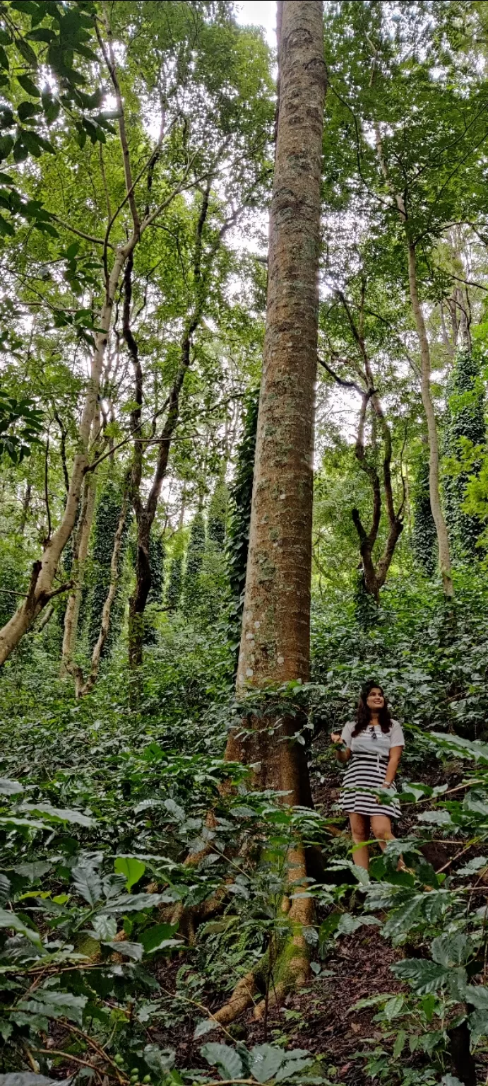 Photo of Araku Coffee Plantation Point By Smita Rani Sahu