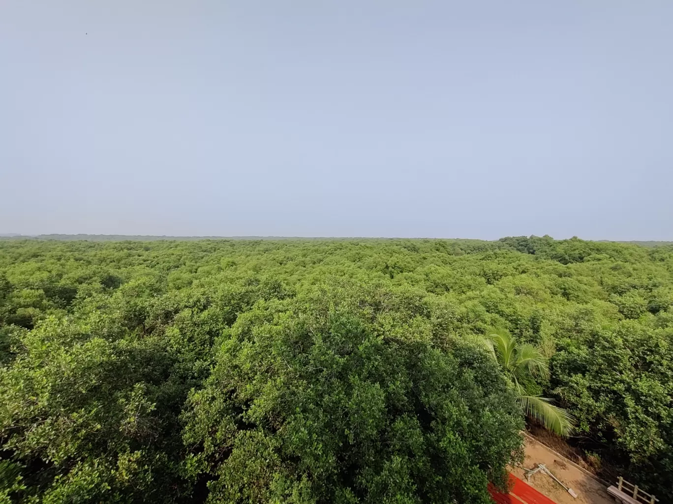Photo of Coringa Wildlife Sanctuary By Debasish Panda