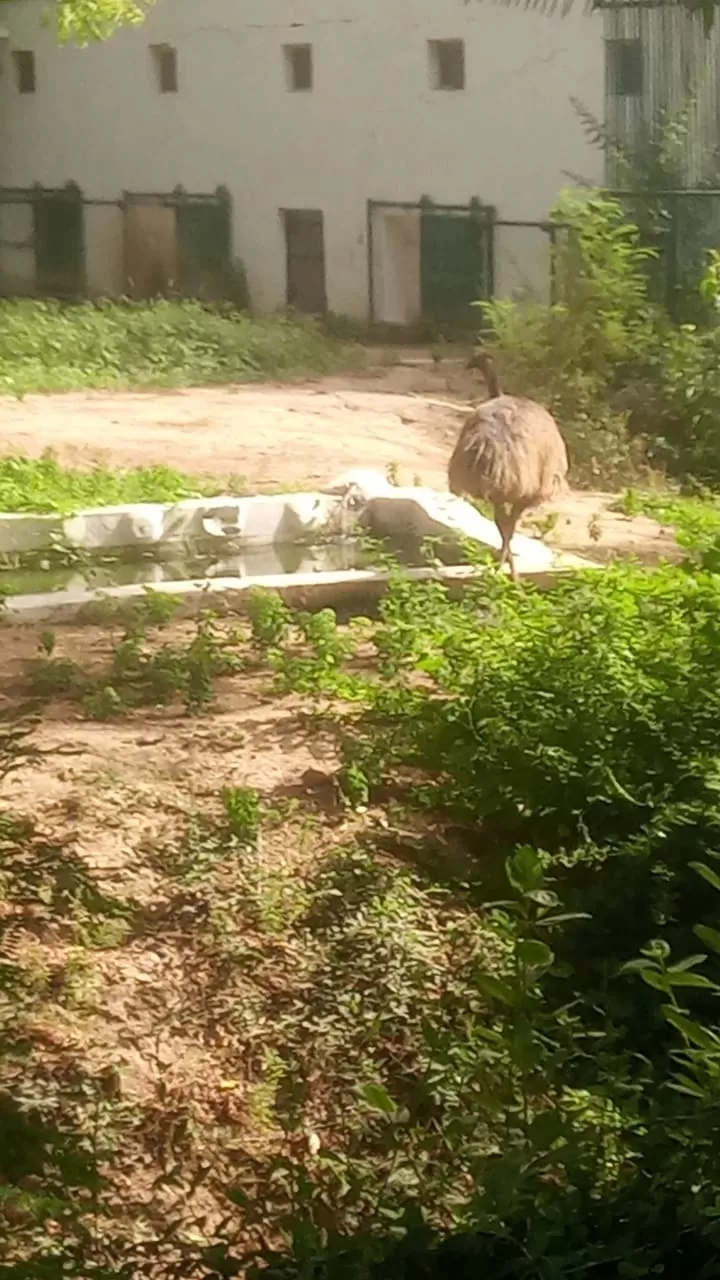 Photo of Kankaria Zoo By Rishi Hemdev