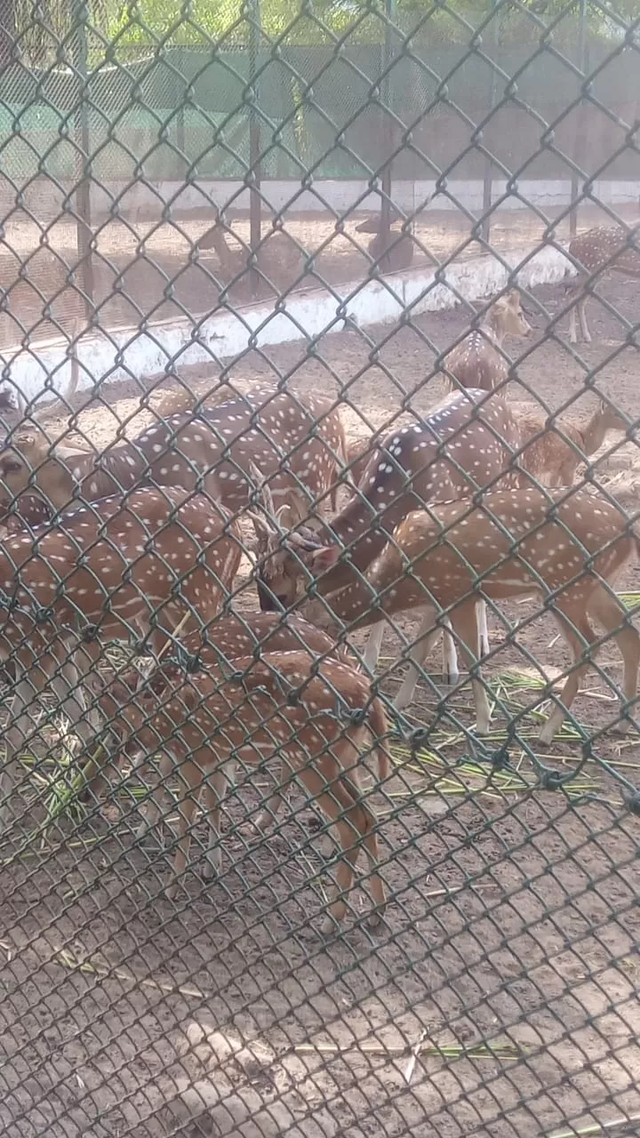 Photo of Kankaria Zoo By Rishi Hemdev