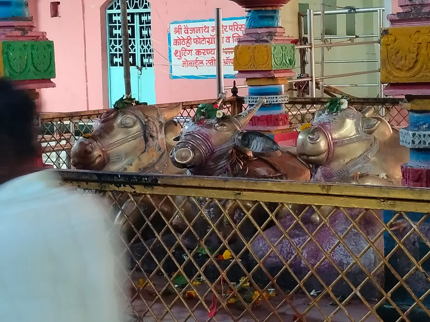Photo of Parli Vaijnath By Rishi Hemdev