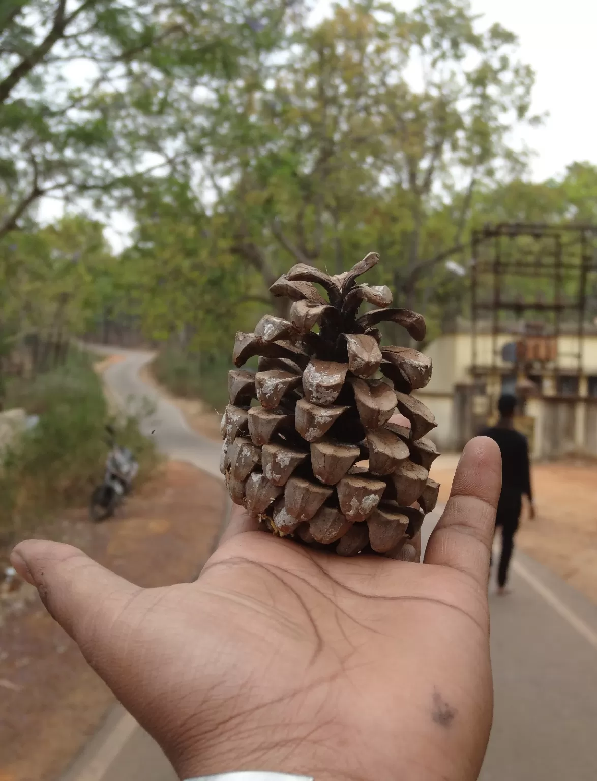 Photo of Netarhat By Nitesh demta