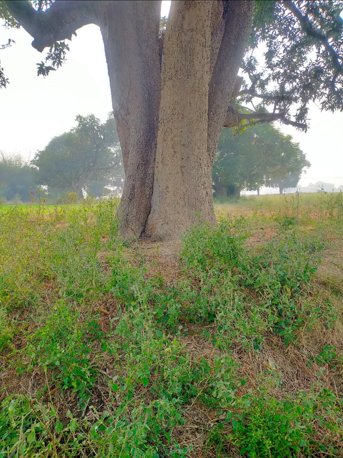 Photo of Kanpur By Anuj Singh