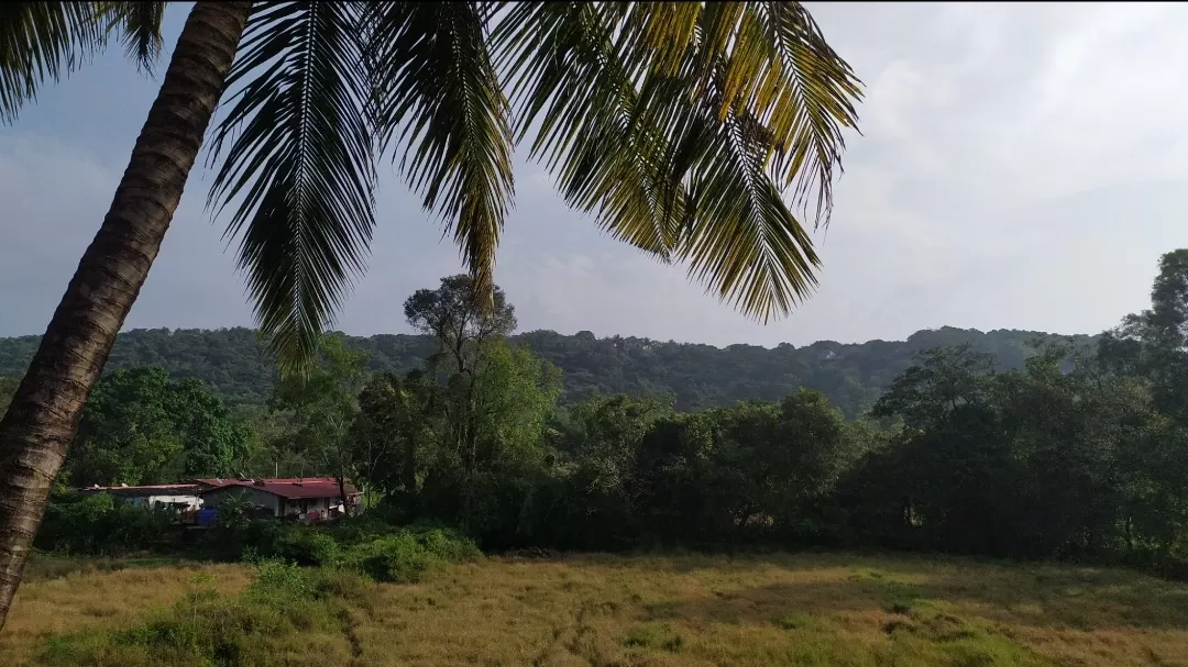 Photo of Goa By SAURABH Sharma