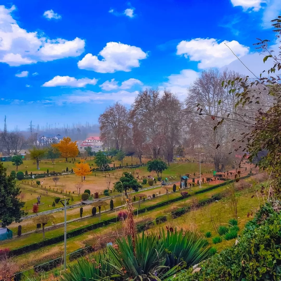 Photo of Harwan garden (sar bandh) By Mosisz Photography