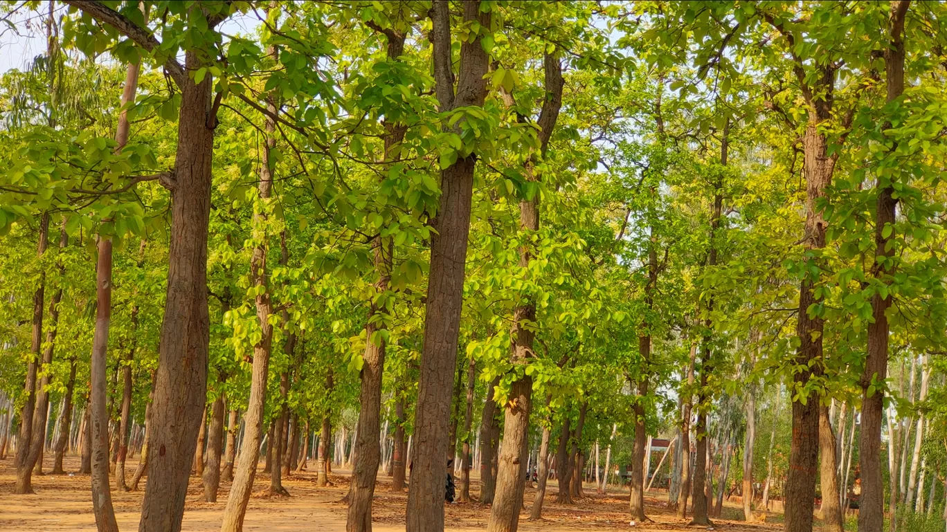 Photo of Asansol By Nivedita Mondal