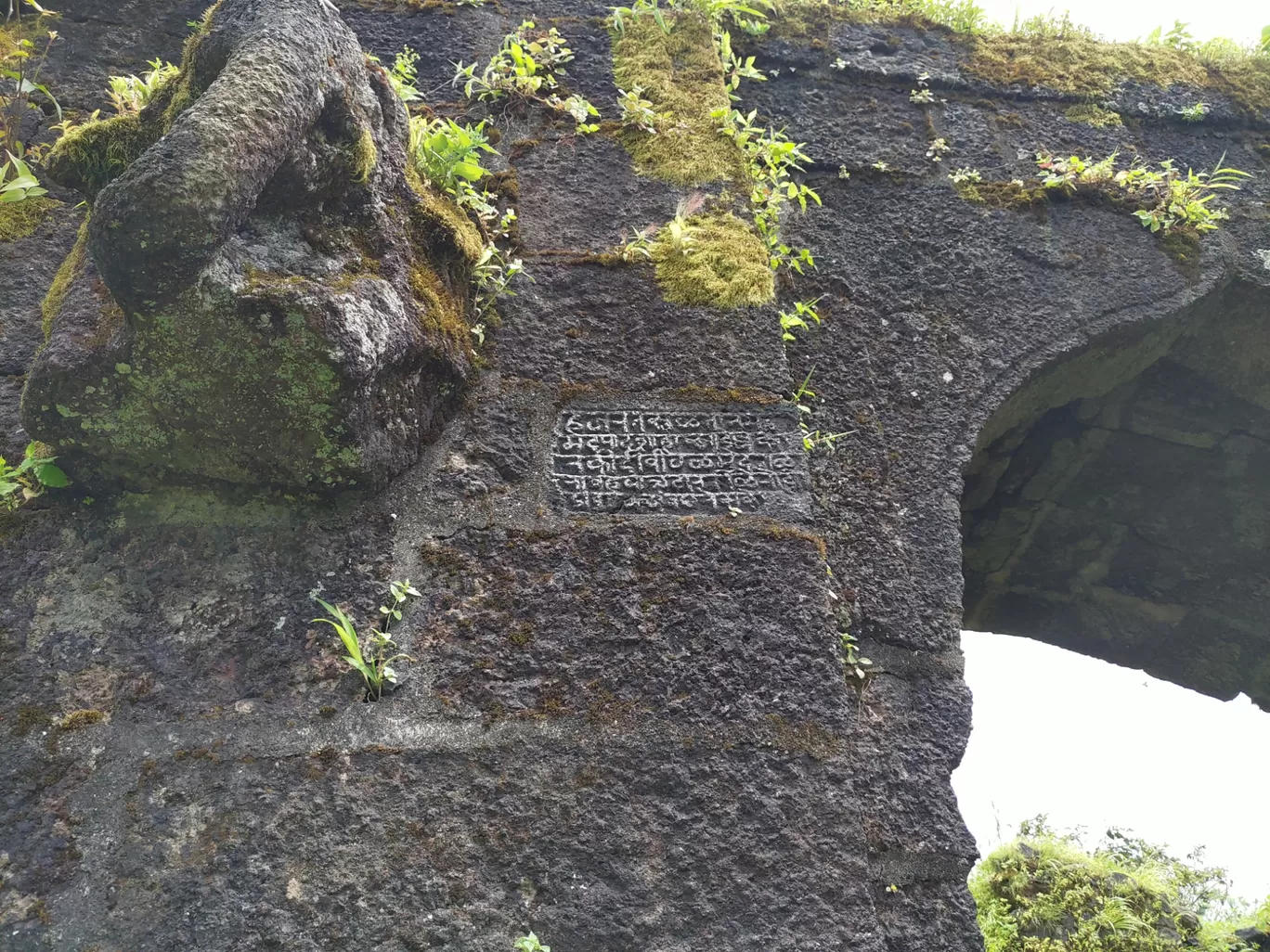 Photo of Rohida Fort By Buddhabhushan Naik