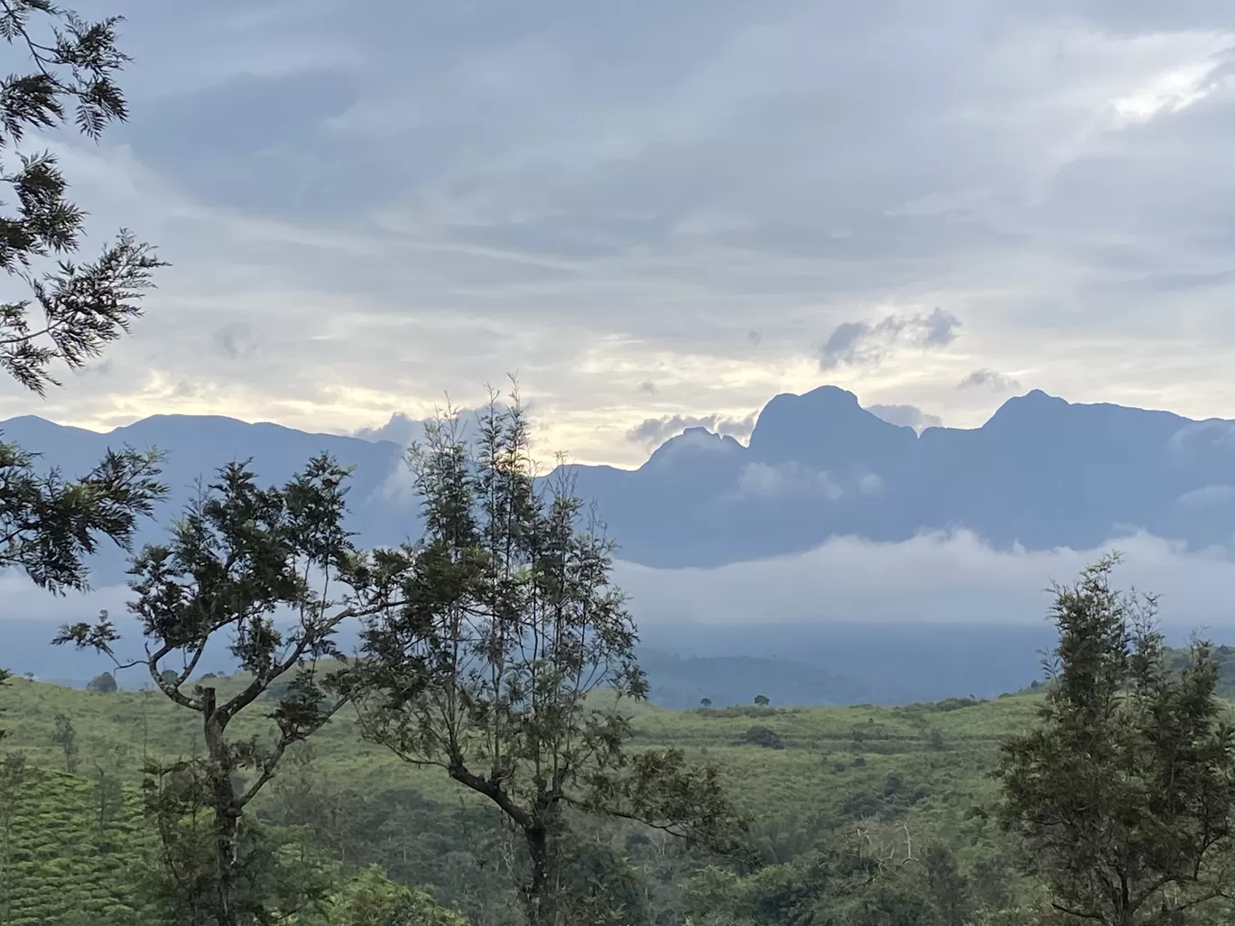 Photo of Gudalur By Sunayana Senapati