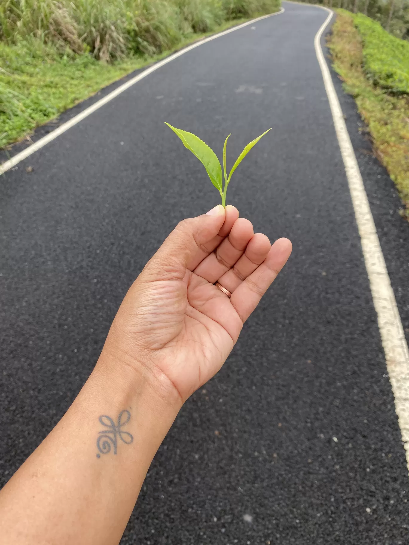 Photo of Gudalur By Sunayana Senapati