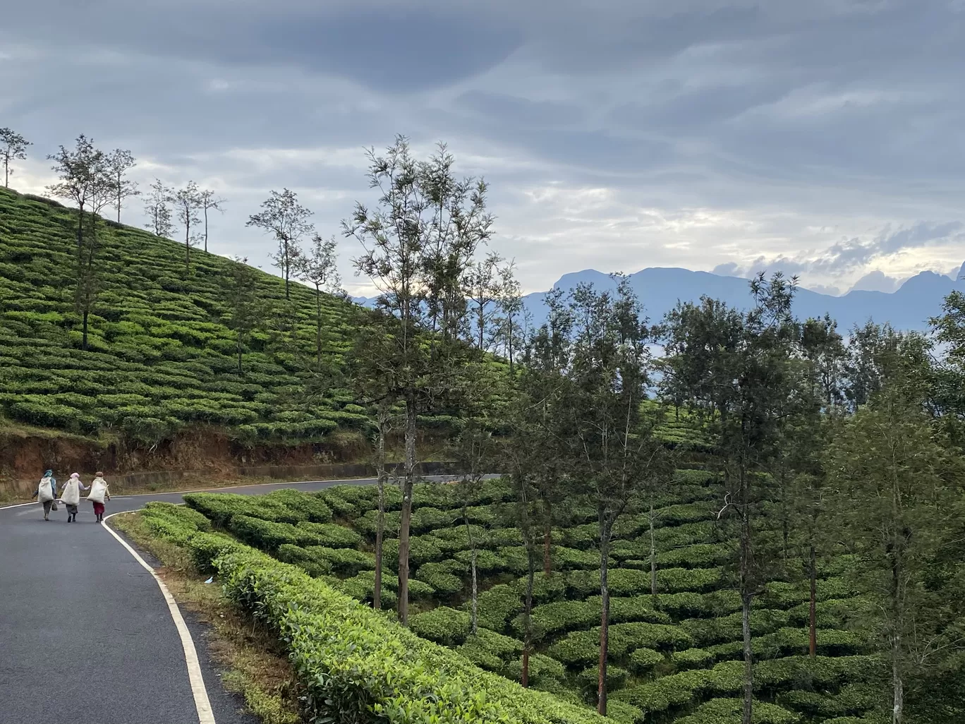 Photo of Gudalur By Sunayana Senapati