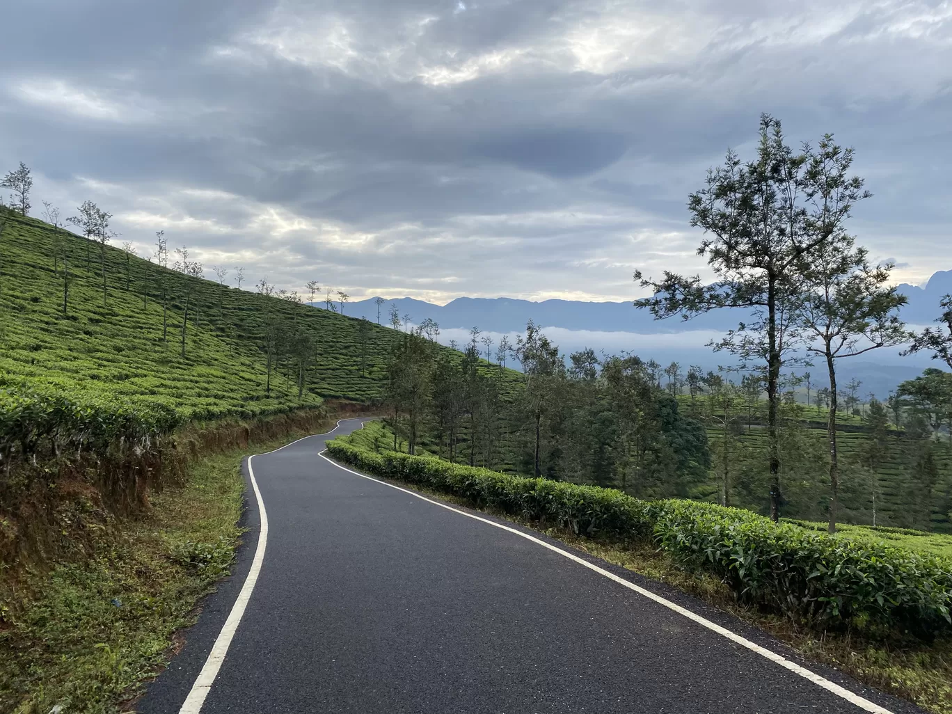 Photo of Gudalur By Sunayana Senapati