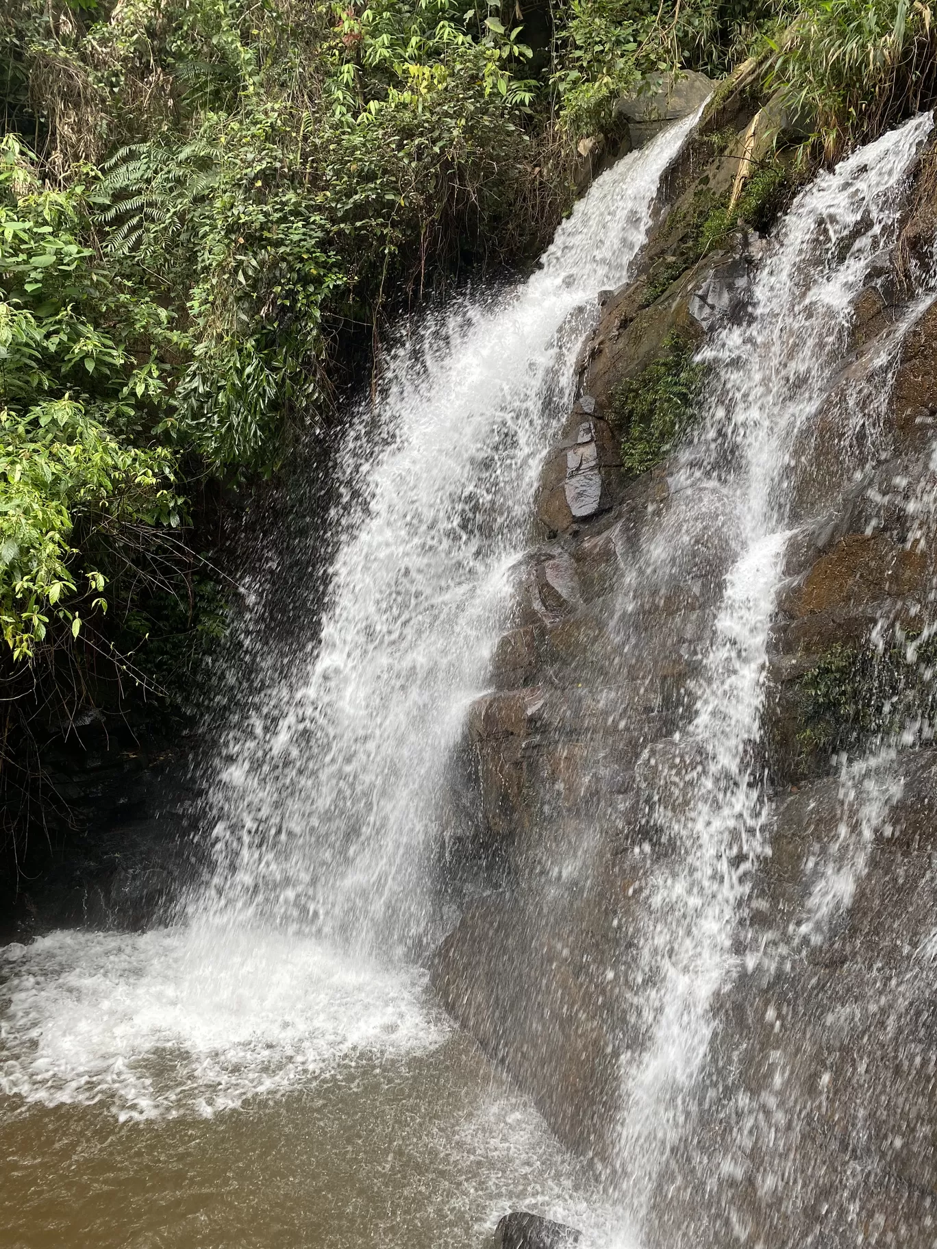 Photo of Gudalur By Sunayana Senapati