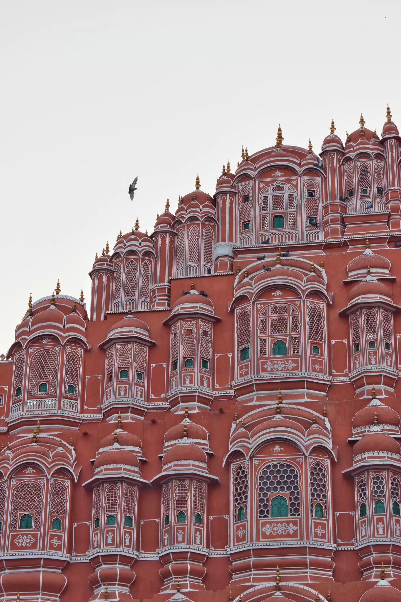 Photo of Jaipur By Mansi Gupta