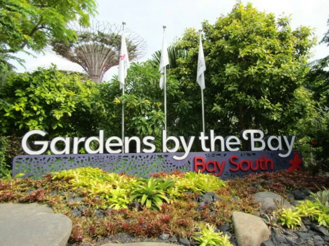 Photo of Gardens by the Bay By Prathamesh Kadam