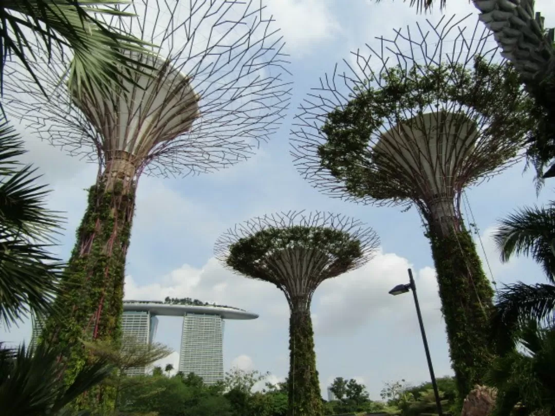 Photo of Gardens by the Bay By Prathamesh Kadam