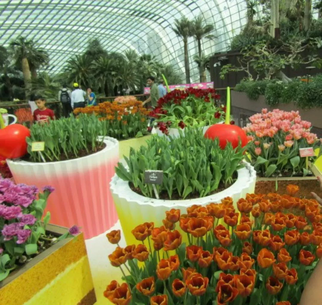 Photo of Gardens by the Bay By Prathamesh Kadam