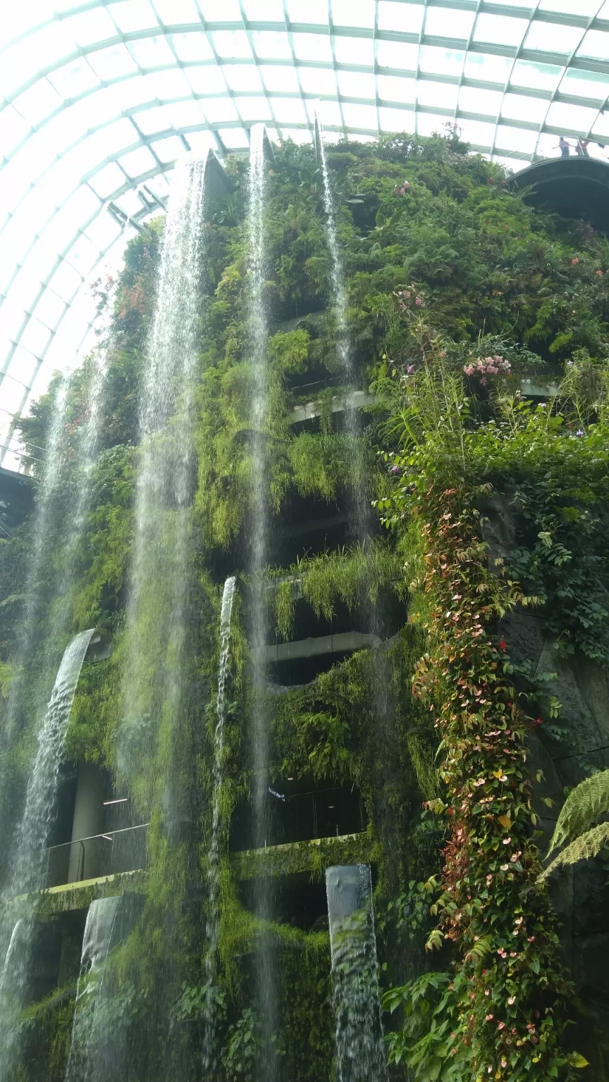 Photo of Gardens by the Bay By Prathamesh Kadam