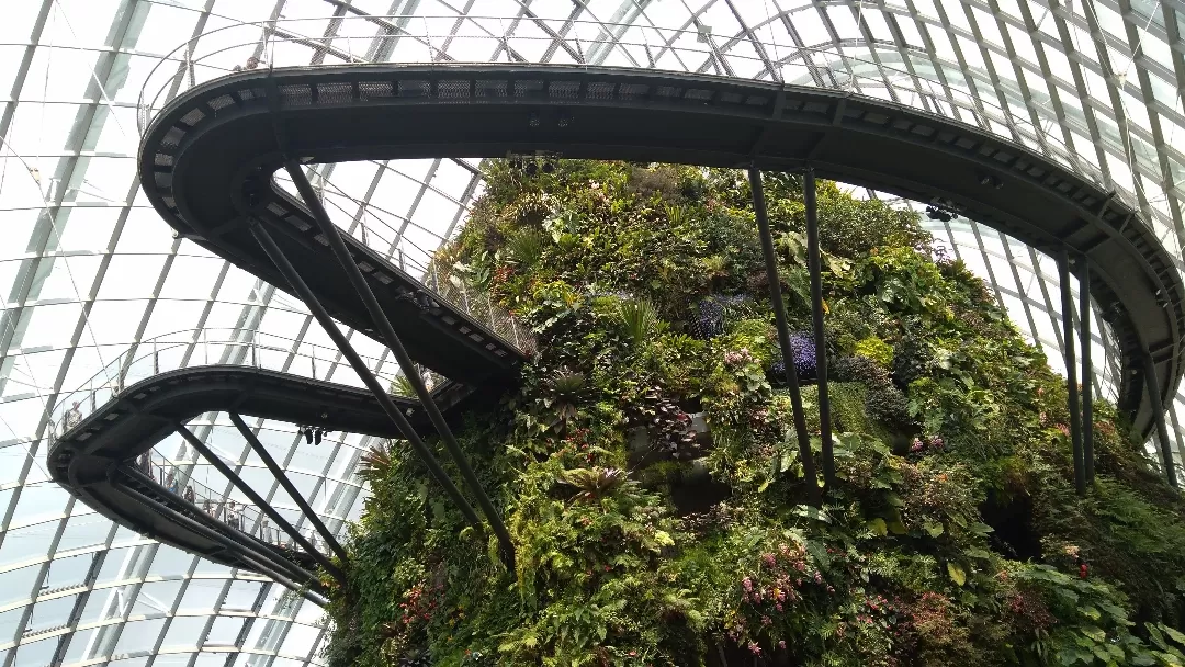 Photo of Gardens by the Bay By Prathamesh Kadam