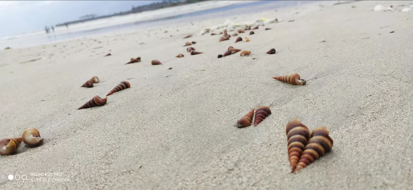 Photo of Malvan Beach By Casual Explorer