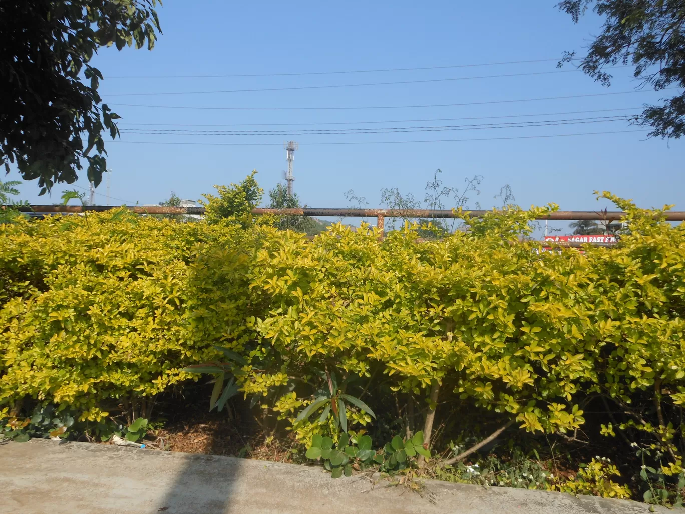 Photo of Saputara Lake Park By Casual Explorer